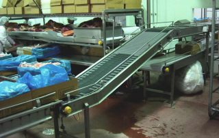Carton Conveyor
