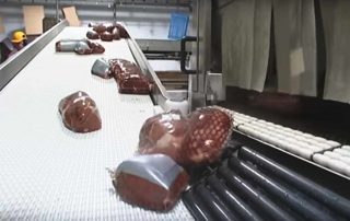 Meat Modular Belt Conveyor